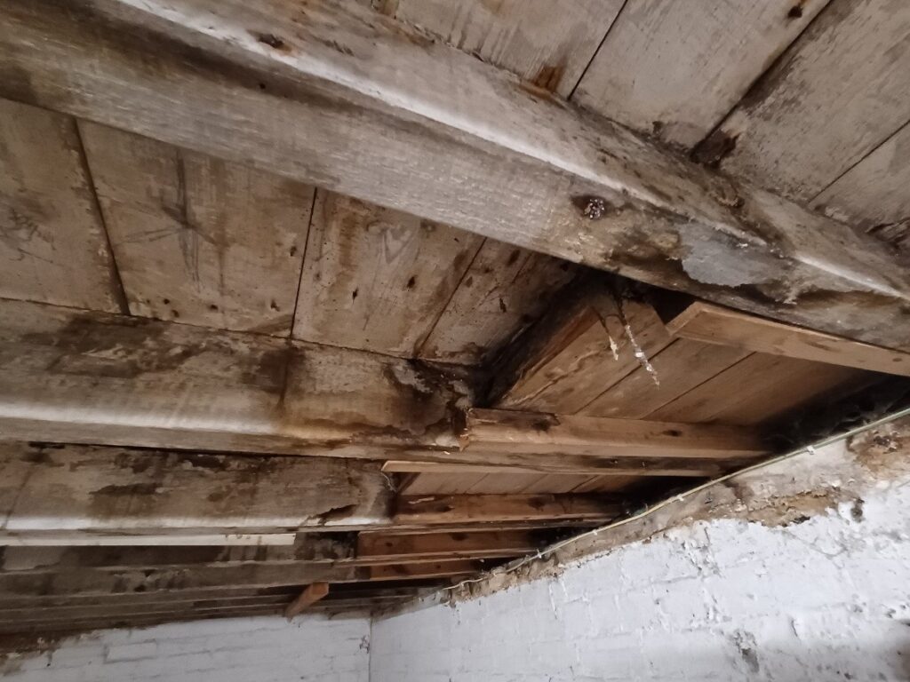 Cellar view of the ground floor above, tenant’s failure to maintain the floor.